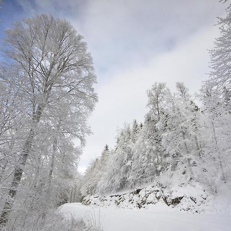 Gite Face Au Vercors Villa Marches Exterior foto