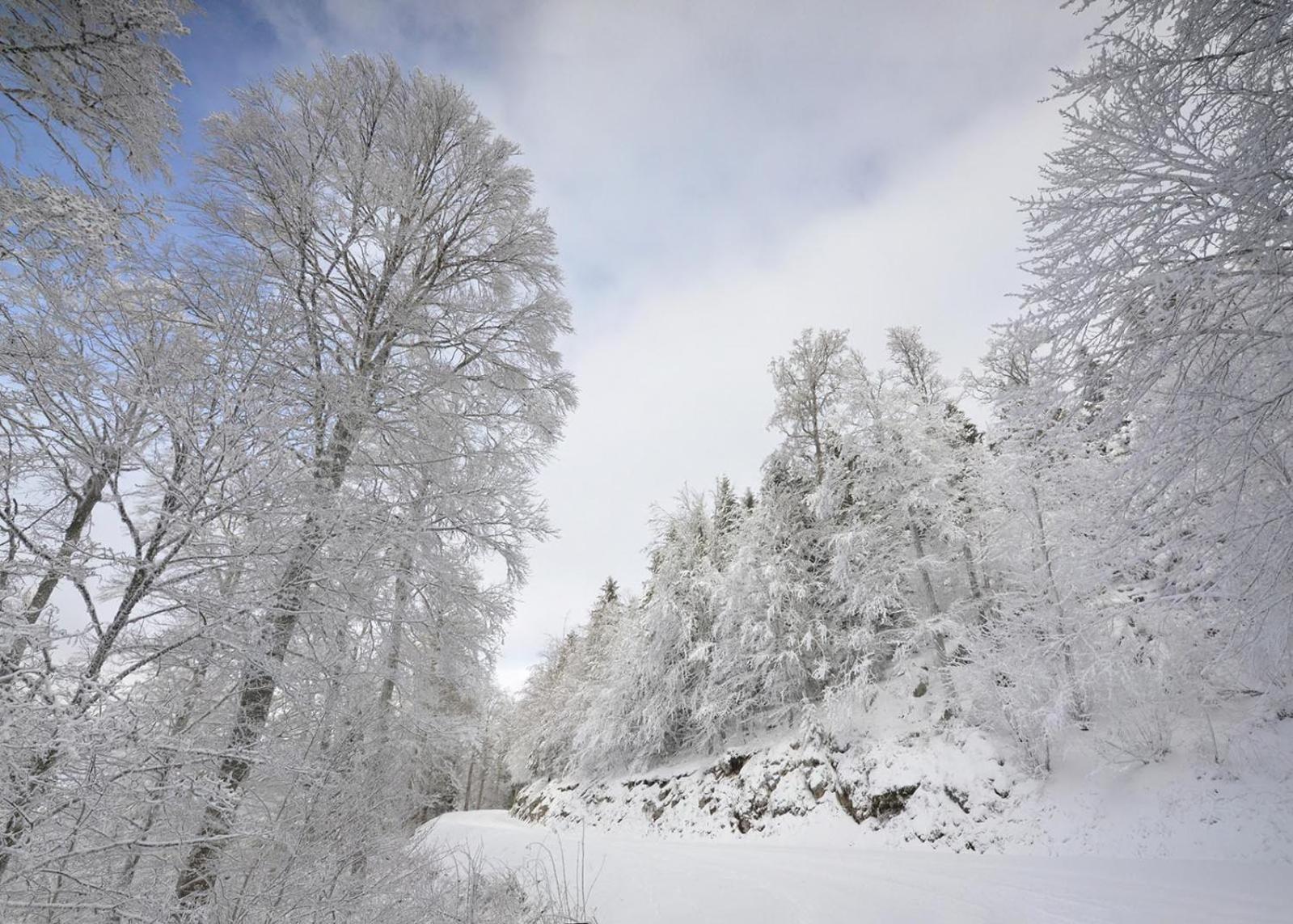 Gite Face Au Vercors Villa Marches Exterior foto