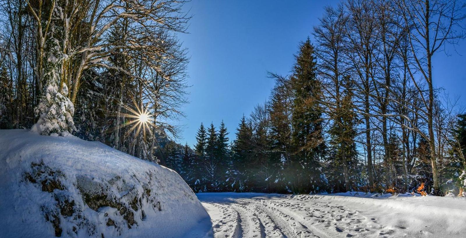 Gite Face Au Vercors Villa Marches Exterior foto