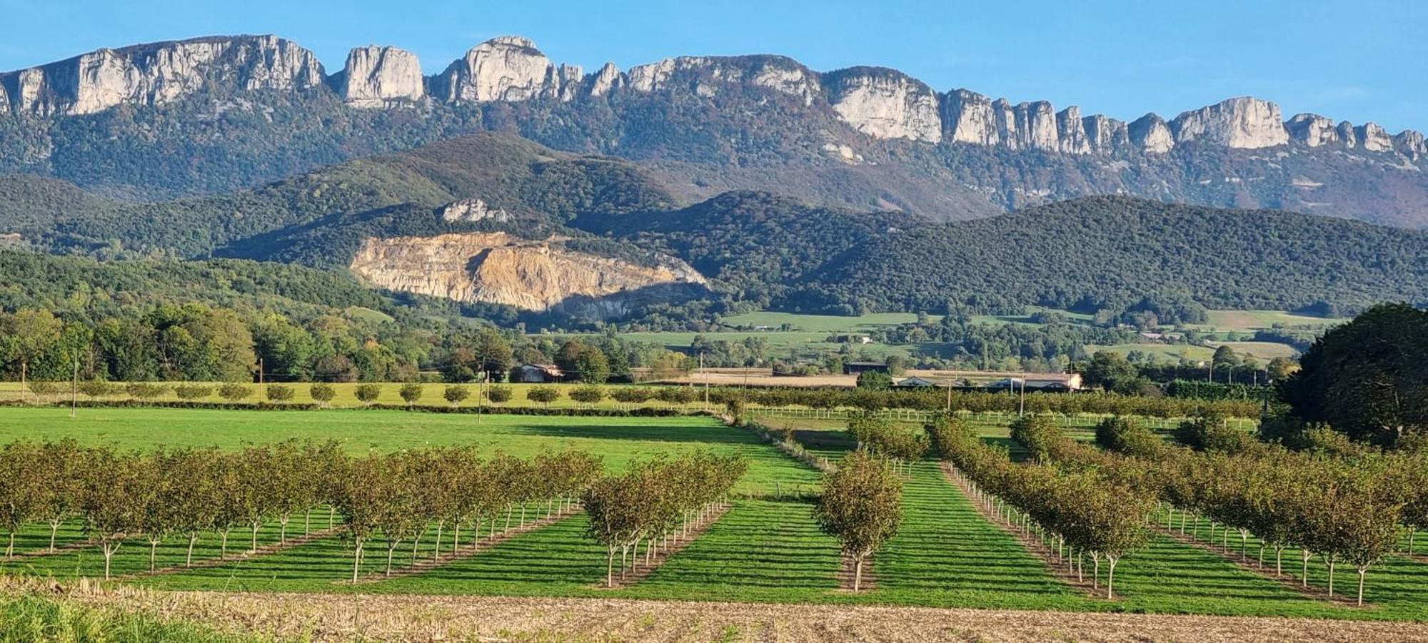 Gite Face Au Vercors Villa Marches Exterior foto